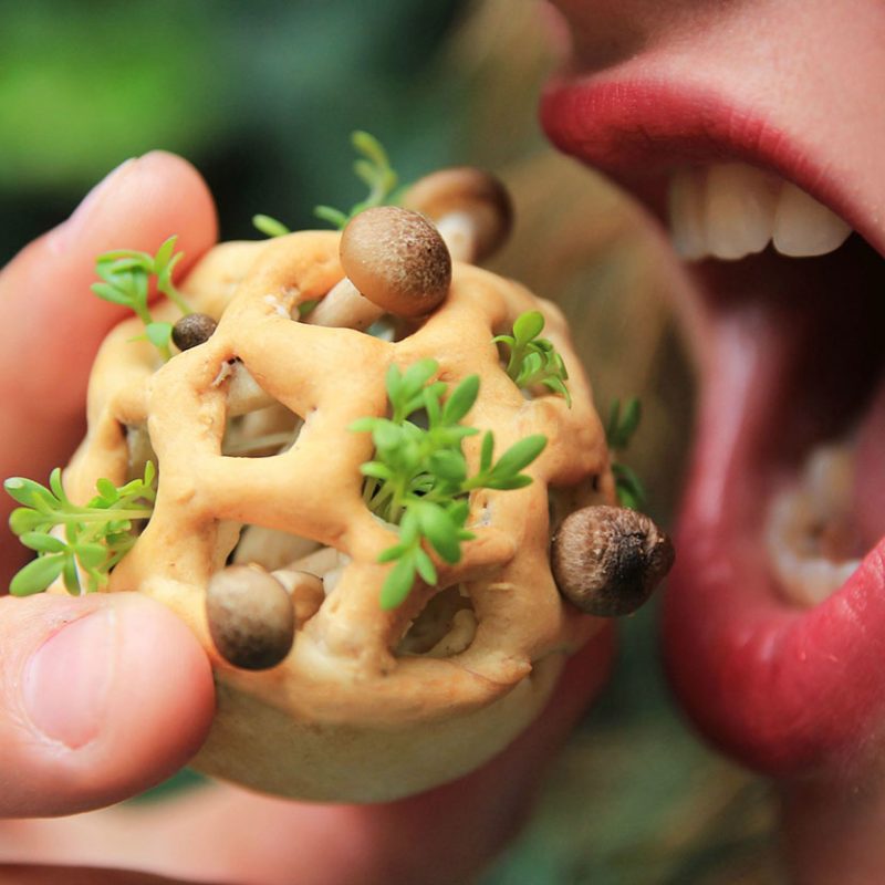 Enjoy-Amazing-3D-Printed-Bio-Food-With-Herbs-And-Mushrooms-15